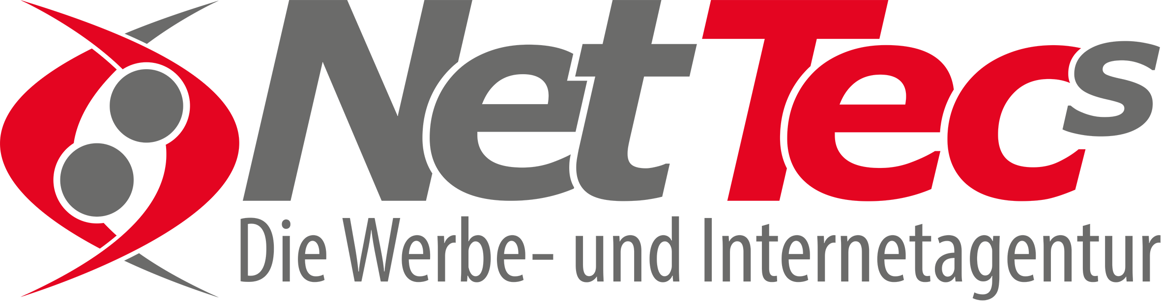 nettecs logo 2015